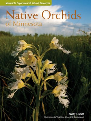 cover image of Native Orchids of Minnesota